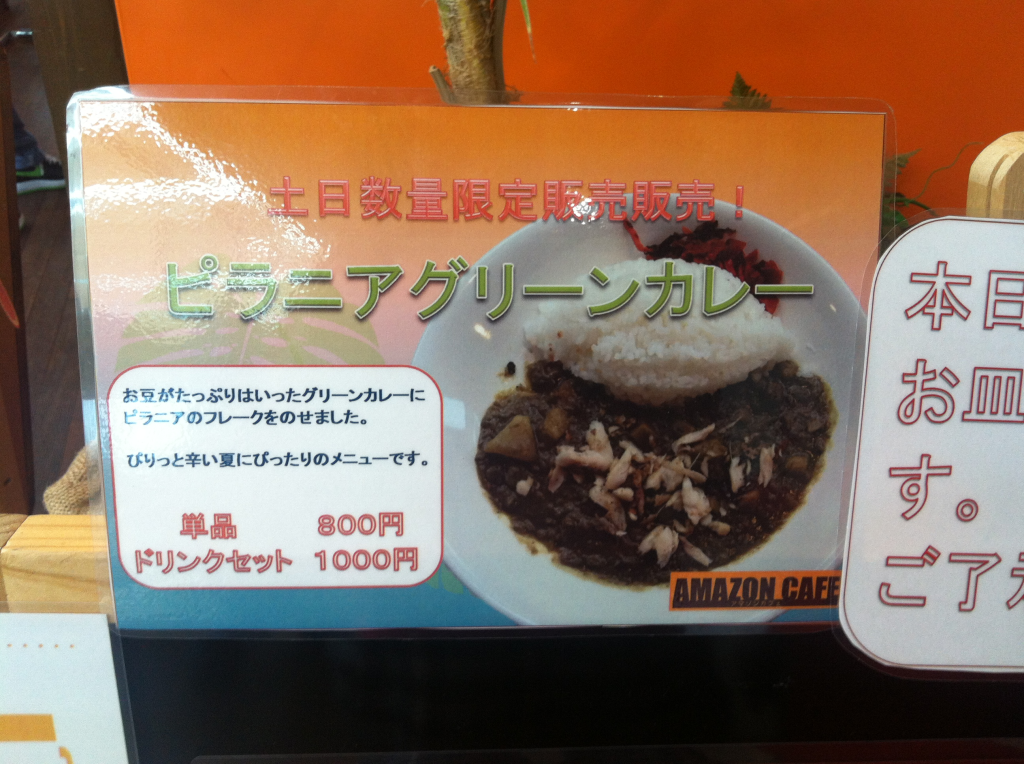 Se a fome bater, você ainda pode se dirigir ao Amazon Café, e se deliciar com esta iguaria: curry de piranha!